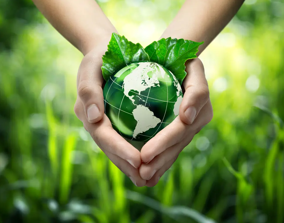 關(guān)于綠色印刷，這些你都知道嗎？