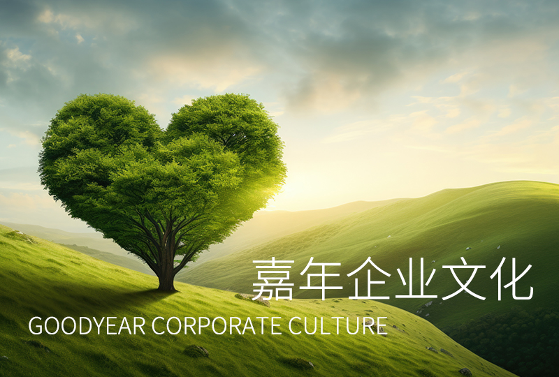 嘉年印務企業文化正式發布